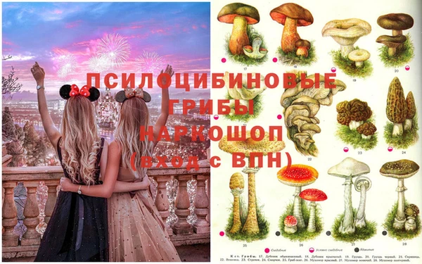 не бодяженный Арсеньев