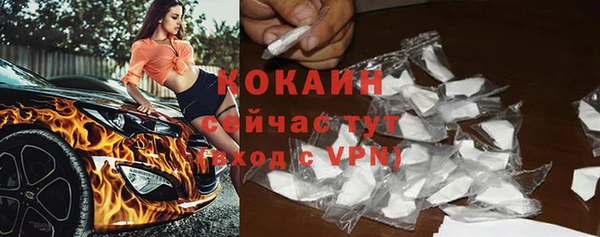 прущие грибы Аркадак