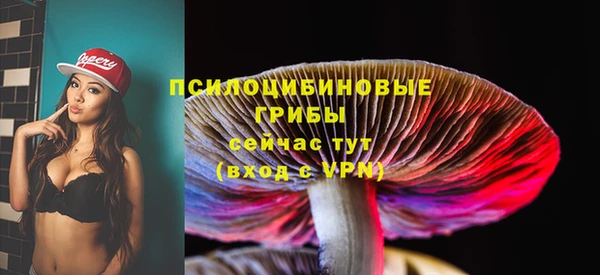 прущие грибы Аркадак